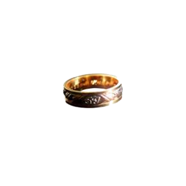 STI-Ringen